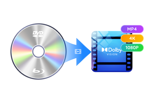提供 Dolby Vision HDR 支援
