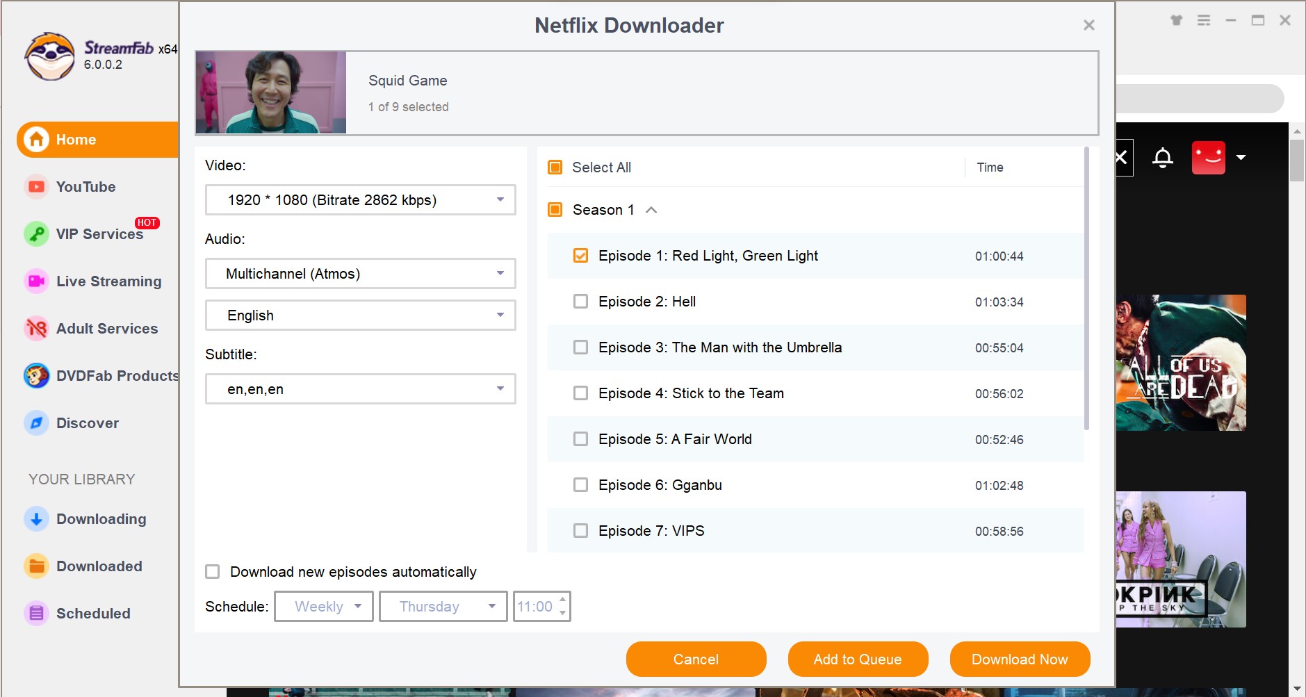 StreamFab Netflix Downloader step.