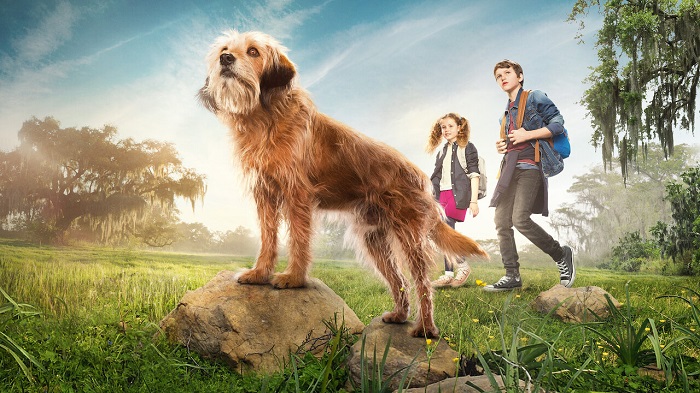 hundefilme auf netflix:9. Benji