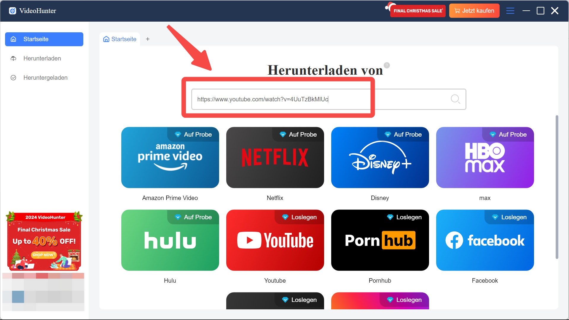 Download-Schritte mit Video Hunter