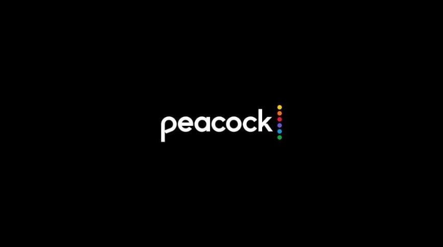 Peacock auf den Firestick herunterladen:Teil 1: 2 Wege zum Herunterladen von Peacock auf Firestick