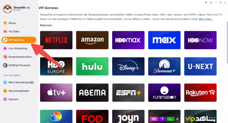 Schritte zum Netflix MP4 Download mit StreamFab Netflix Downloader