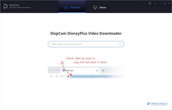 Disney Plus Video Downloader