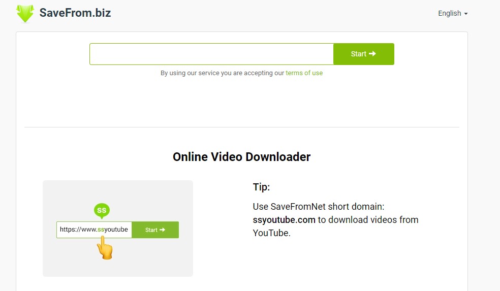 savefrom net movie clip downloader