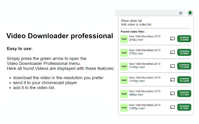 Firefox Video Downloaders Video Downloader Professional