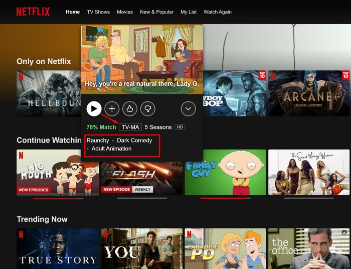 what does tv ma mean on netflix:What Are Some Popular TV MA Shows On Netflix?