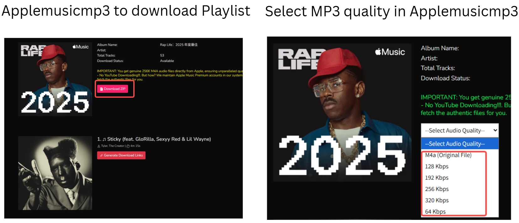 applemusicmp3-testing-results