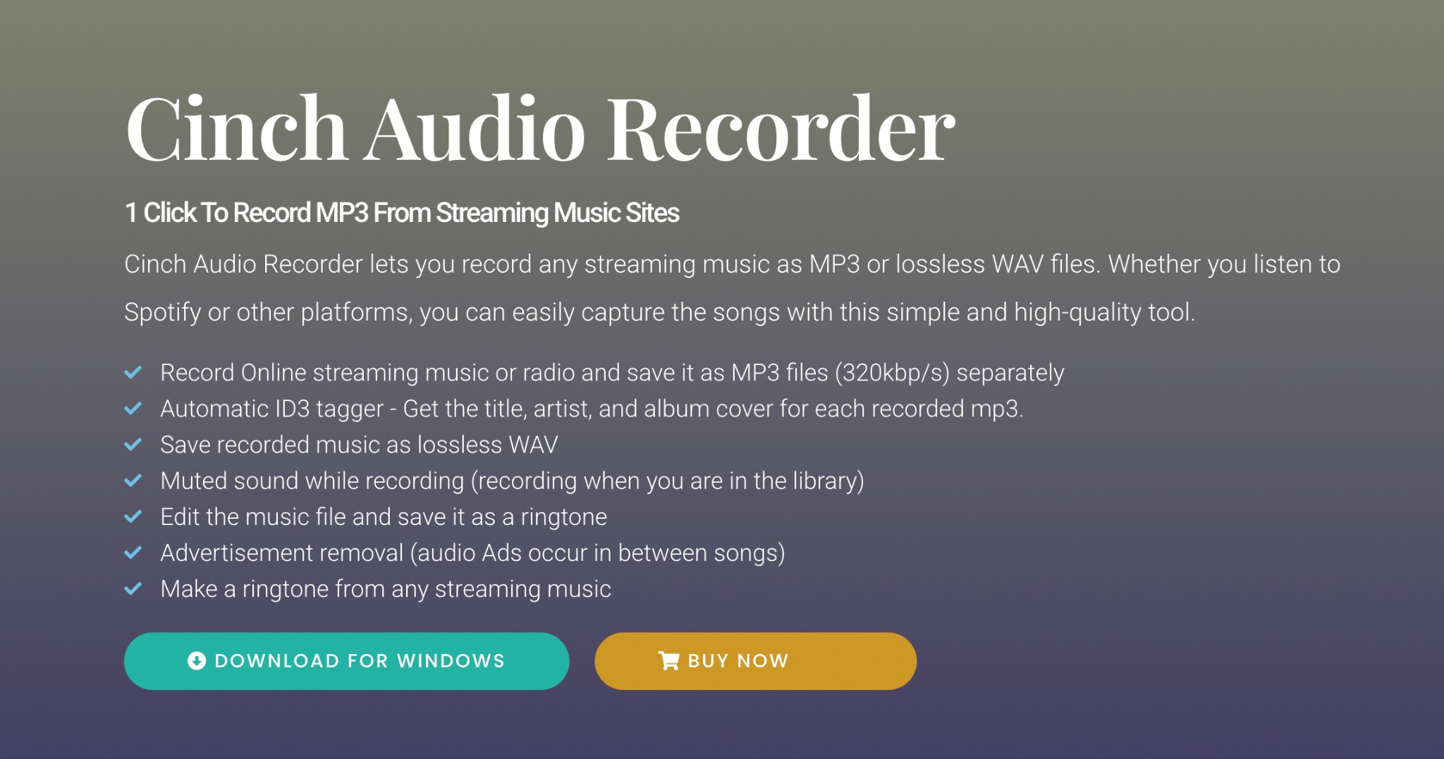 Cinch Audio Recorder