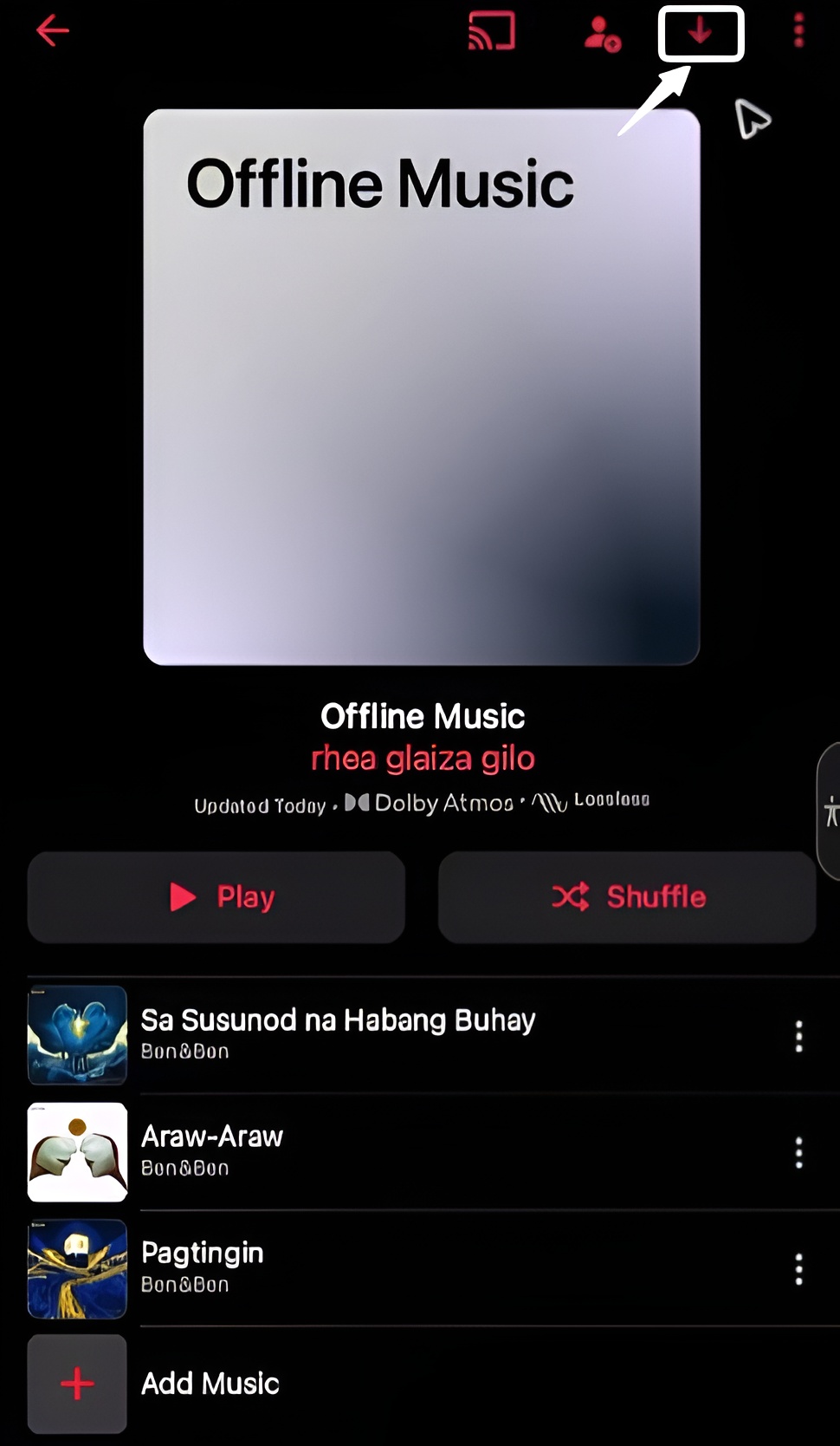 Apple Music playlists on iphone showing the Download button