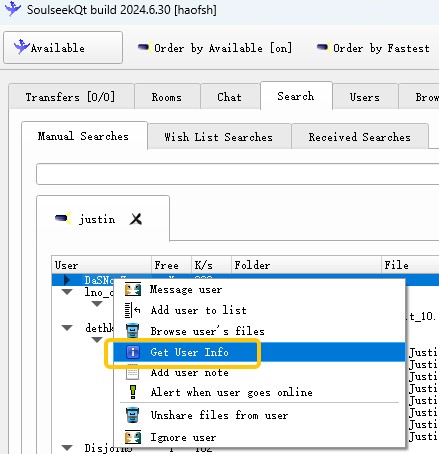choose soulseek User info