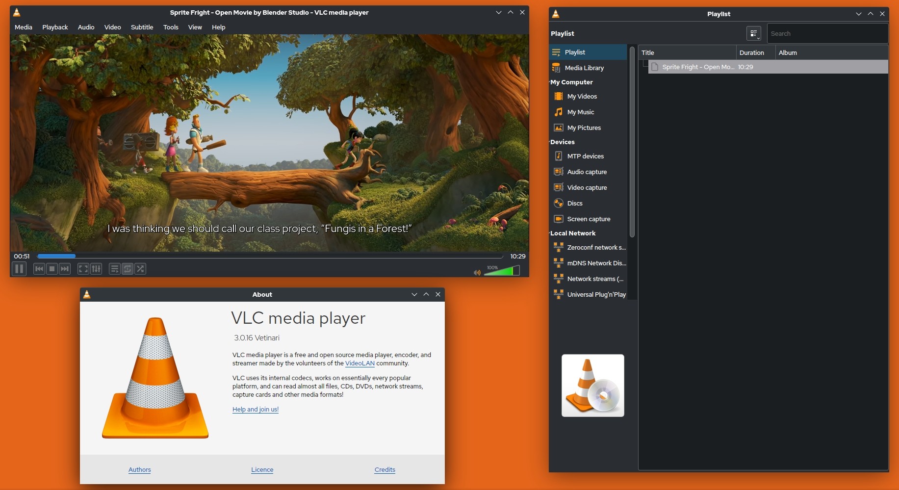 How to Play MP4 Files Using VLC Media Player