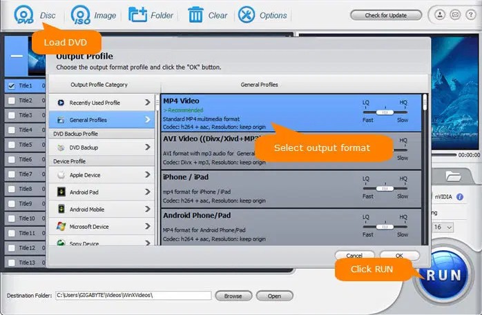 free dvd decoder for window xp