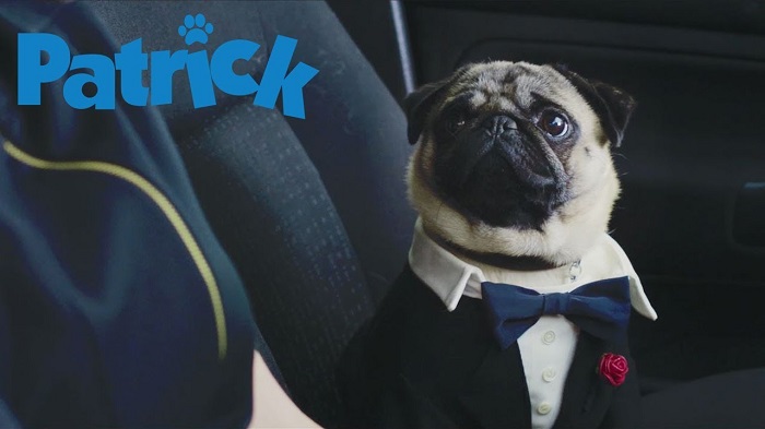 dog movies on netflix:5. Patrick