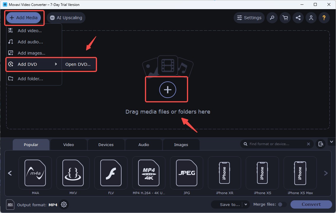 How to use Movavi DVD to MP4 converter