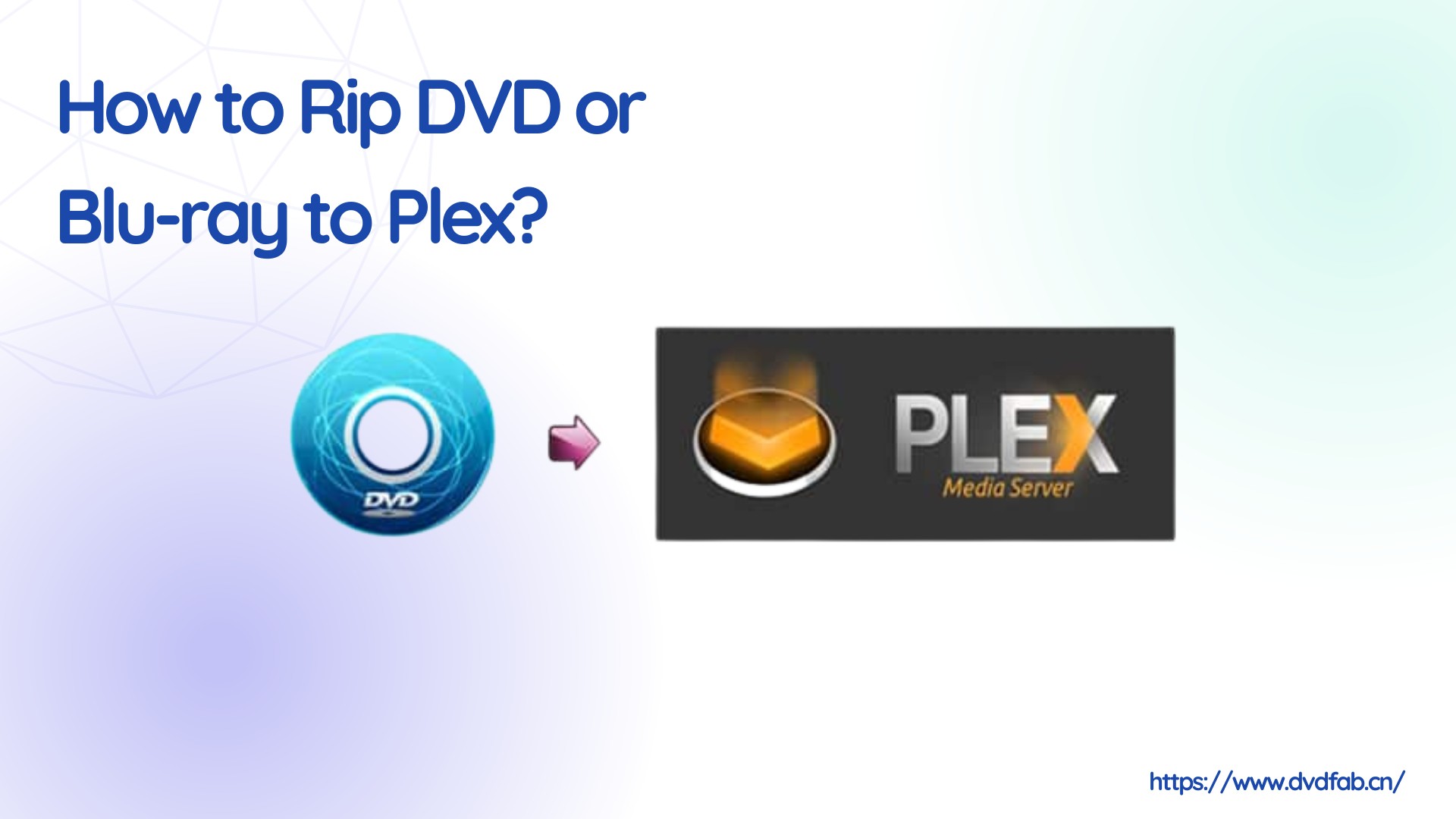 3 Best Tools for Ripping DVDs for Plex on Windows & Mac