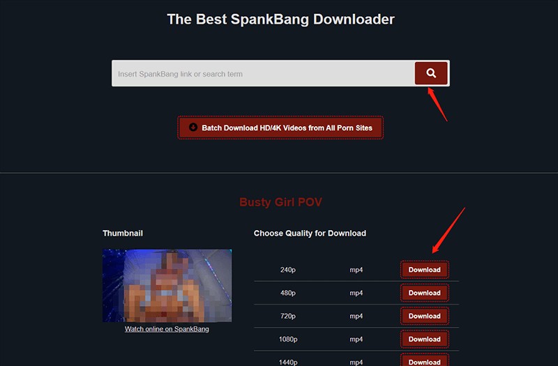 Télécharger des vidéos depuis spankbang avec le meilleur spankbang downloader:Méthode 6 : 3 SpankBang Video Downloader en ligne