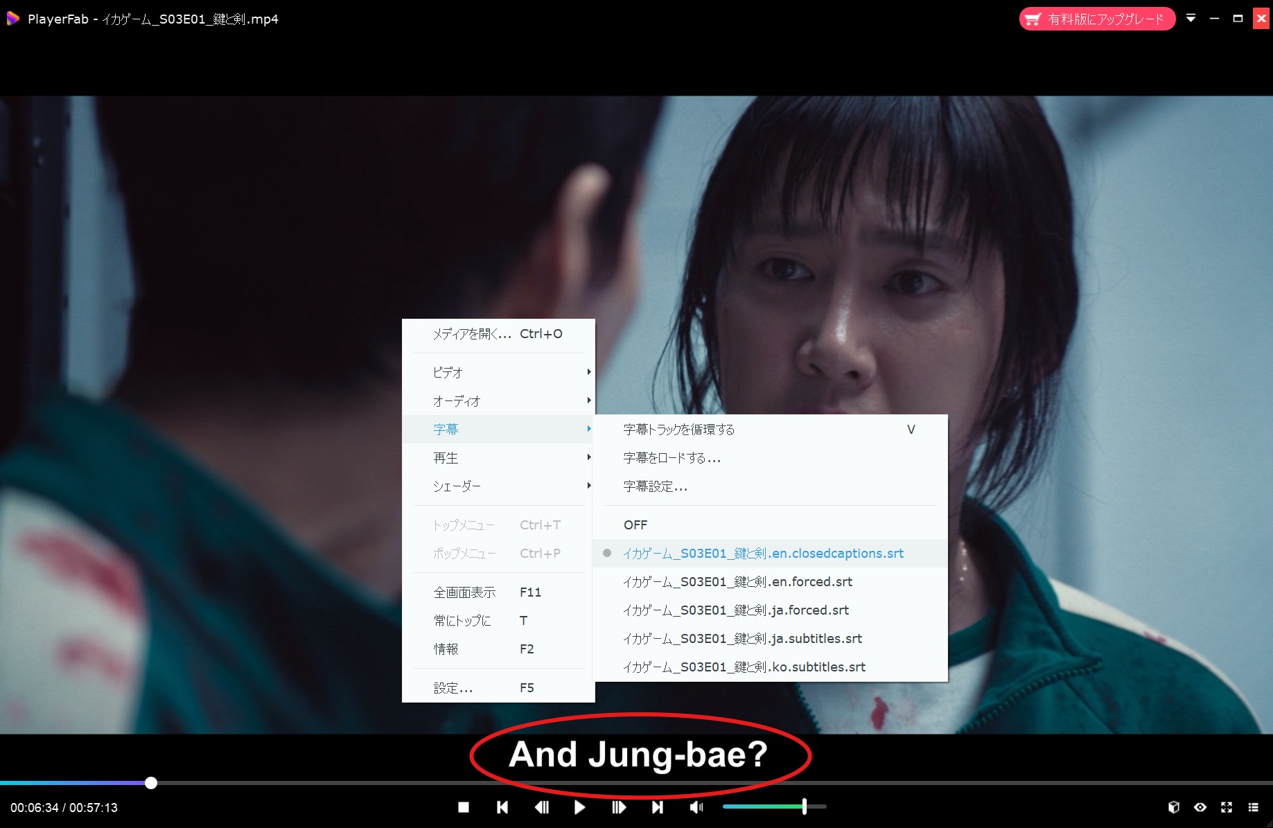 Streamfab Netflix ダウンローダーのについての評判